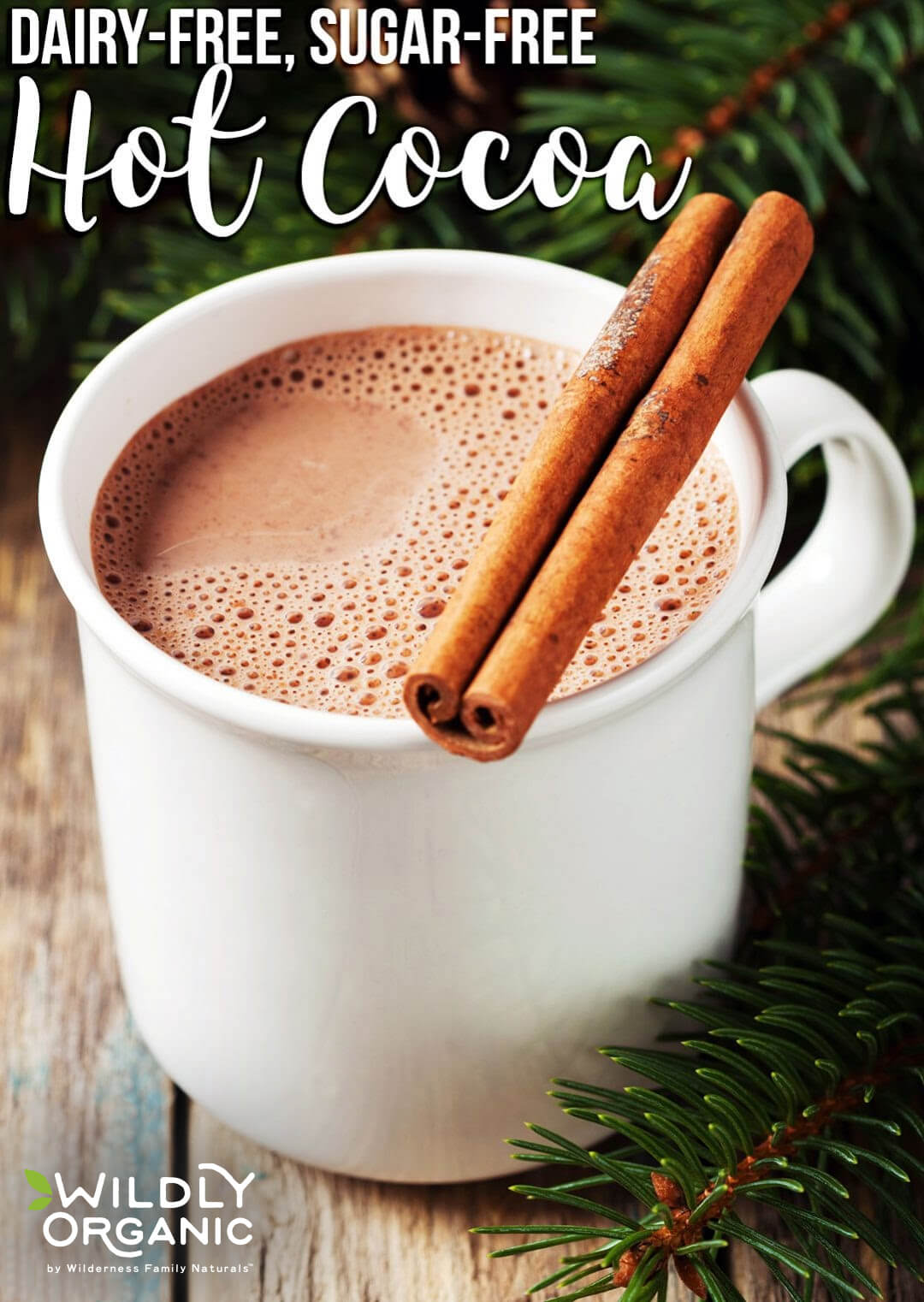 A mug of dairy-free, sugar-free hot cocoa with cinnamon sticks on a wooden surface, surrounded by pine foliage