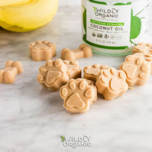 Dog treats and coconut oil