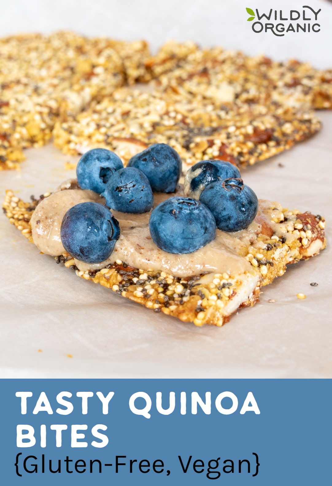 Tasty Quinoa Bites {Gluten-Free, Vegan} Quinoa bites with blueberries on top